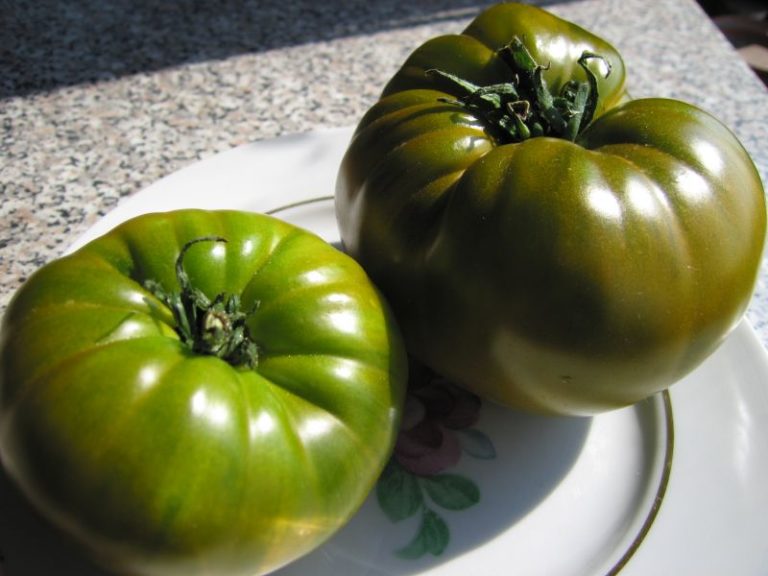 «Малахитовая шкатулка» — это сорт помидоров, который занесен в Государственный реестр