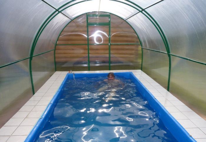 бассейн в теплице своими руками фото