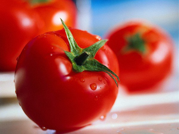В борьбе за урожай профилактика и лечение гнили на томатах в теплице — важнейшая задача