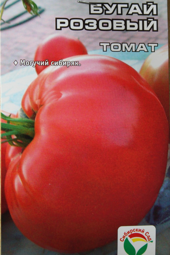 Кусты достигают 1,5 м, нуждаются в подвязке. Сами томаты обладают красной окраской, по форме напоминают овал