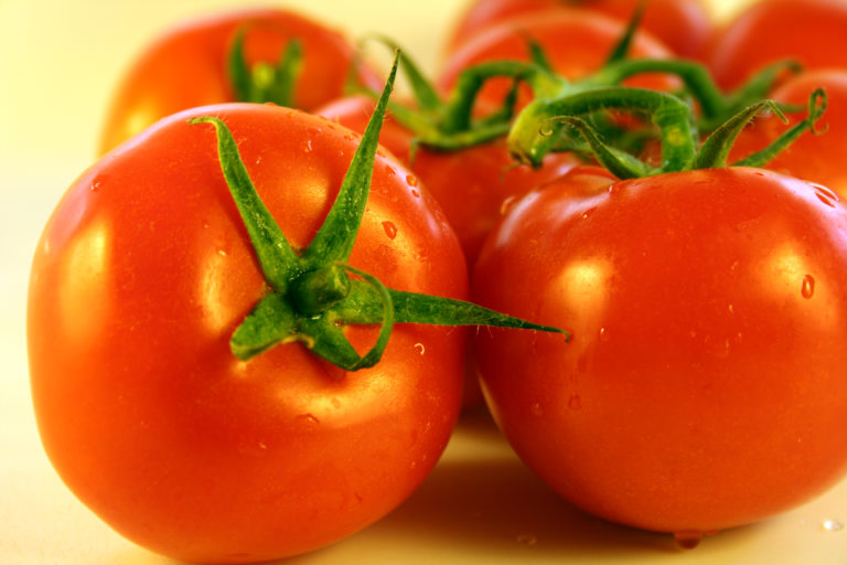 Выращивание томатов этого сорта лучше производить целиком в теплице