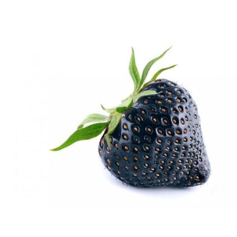 Черная земляника — ягода, которая имеет средний период созревания, ее мякоть довольно плотная, без пустоты