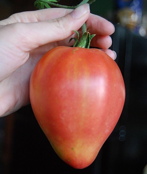расные или красно-малиновые помидоры имеют сердцевидный внешний вид