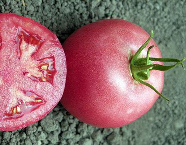 Средняя плотность плода и его мясистость позволяют без проблем транспортировать помидоры