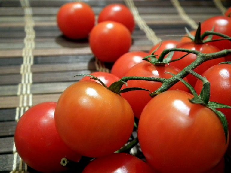 Только полностью дозревшие помидоры принесут пользу и будут иметь отличные вкусовые качества