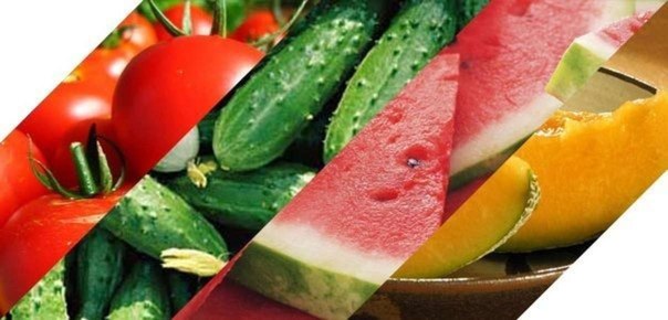 Сочный помидор — это фрукт или овощ?