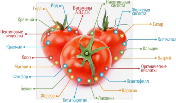 Вред и польза помидоров для мужчин и женщин обусловлены теми химическими соединениями, которые присутствуют в этих овощах