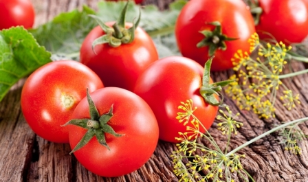 Особенности каждого сорта ранних сортов помидор заключаются в том, что растение поспеет на кусте уже через 100 суток после посева