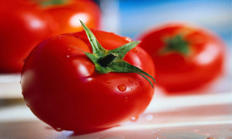 Любителям мелких помидоров следует выбирать томат Слот
