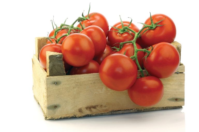 Хранить урожай помидор для дозревания нужно с удаленными плодоножками в деревянных ящиках в один слой, обеспечивая требуемую температуру и доступ к солнечному свету