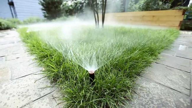 Система дождевания выполняет орошение растений посредством разбрызгивания воды и чаще всего применяется на газонах