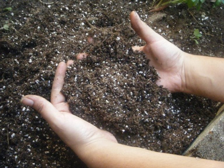 Можно использовать и другие минеральные удобрения, которые обогащают почву минеральными веществами