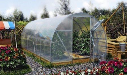 Если вы любите выращивать растения на участках и хотите делать это даже в холодное время года, постройте теплицы из поликарбоната