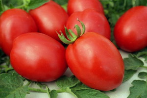 Широкой популярностью среди огородников пользуются помидоры де барао