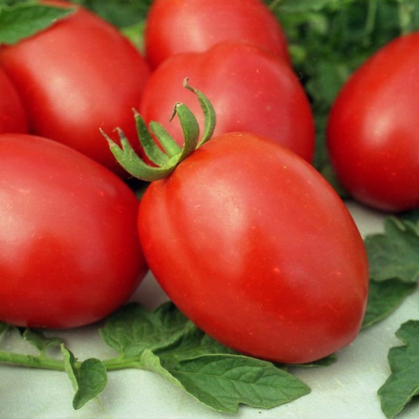 На вкус помидоры де барао очень нежные, с прекрасным сочетанием кислой нотки и чуть сладковатого вкуса