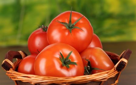 Спелые томаты в мае в наших климатических условиях можно получить только в отапливаемой теплице