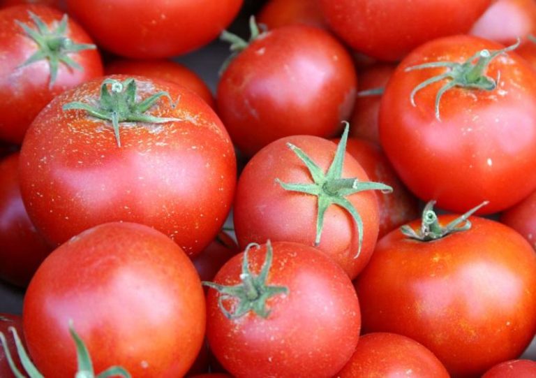 Позднеспелые томаты, предназначенные для Краснодарского края, характеризуются своими удивительными вкусовыми качествами, хорошим урожаем и продолжительностью плодоношения