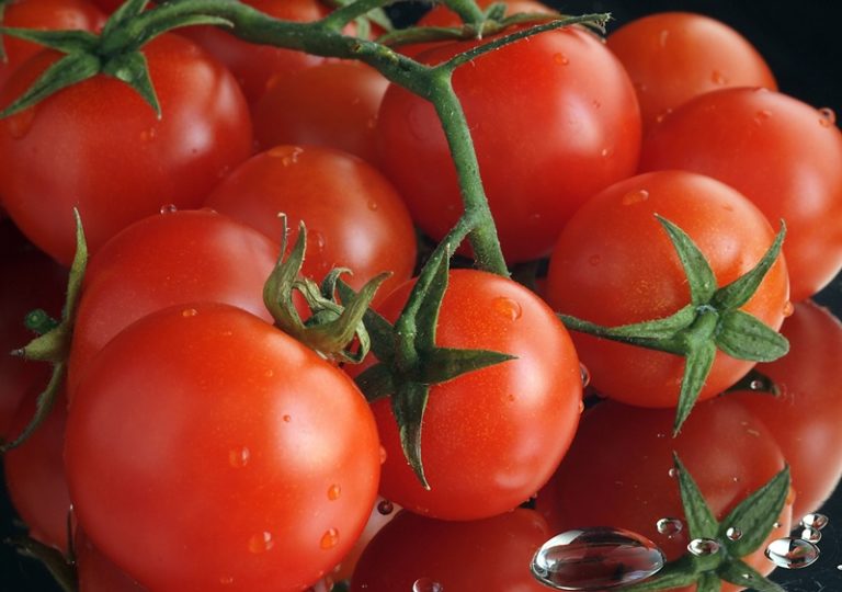 Сорт часто используется активными огородниками, нередко такие помидоры они называют ред черри