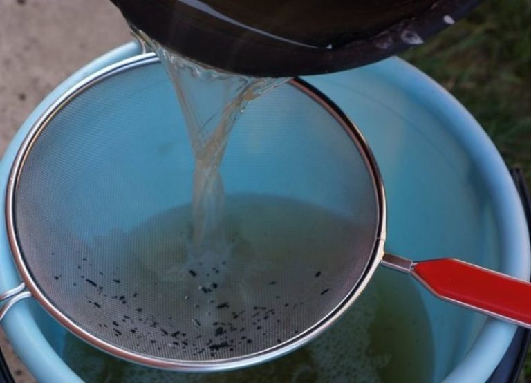Очень часто применяется жидкая подкормка. Для приготовления раствора необходимо смешать около 150 г удобрения и 10 л воды.